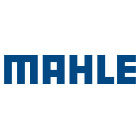 Mahle Motorsport